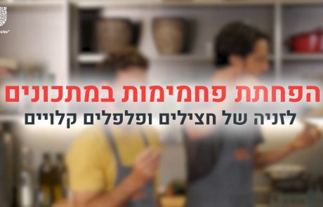 פרק 4: הפחתת פחמימות- לזנייה של חצילים ופלפלים קלויים – מתכון מצולם