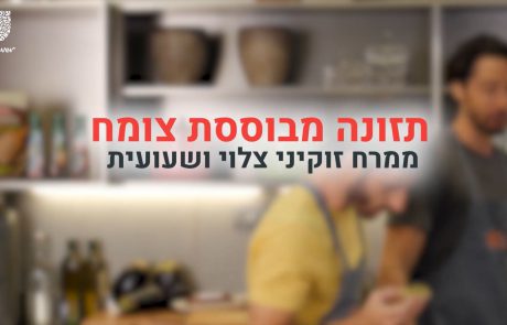 פרק 3: תזונה מבוססת צומח- ממרח זוקיני – מתכון מצולם