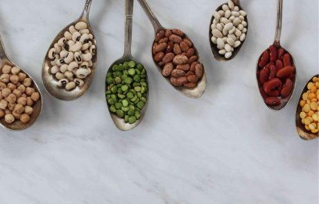 האם עיבוד המזון עשוי לשפר את העיכוליות של חלבון צמחי?